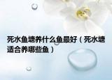 死水鱼塘养什么鱼最好（死水塘适合养哪些鱼）