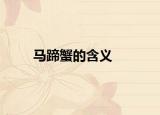 马蹄蟹的含义