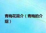青梅花简介（青梅的介绍）