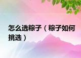 怎么选粽子（粽子如何挑选）