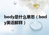 body是什么意思（body英语解释）