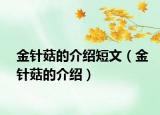 金针菇的介绍短文（金针菇的介绍）