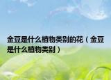 金豆是什么植物类别的花（金豆是什么植物类别）