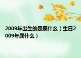 2009年出生的是属什么（生日2009年属什么）