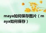 maya如何保存图片（maya如何保存）