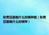 秋黄豆最晚什么时候种植（秋黄豆最晚什么时候种）