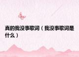 真的我没事歌词（我没事歌词是什么）
