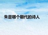 朱是哪个朝代的诗人