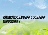 微信比较文艺的名字（文艺名字微信有哪些）
