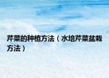 芹菜的种植方法（水培芹菜盆栽方法）