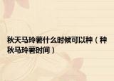 秋天马玲薯什么时候可以种（种秋马玲薯时间）