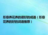 形容养花养的很好的成语（形容花养的好的词语推荐）