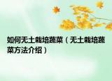 如何无土栽培蔬菜（无土栽培蔬菜方法介绍）