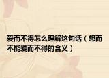爱而不得怎么理解这句话（想而不能爱而不得的含义）