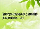 盆栽花多长时间浇水（盆栽植物多长时间浇水一次）