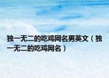 独一无二的吃鸡网名男英文（独一无二的吃鸡网名）