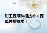 甜王西瓜种植技术（西瓜种植技术）