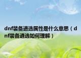 dnf装备遴选属性是什么意思（dnf装备遴选如何理解）