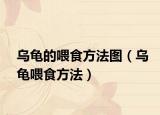 乌龟的喂食方法图（乌龟喂食方法）