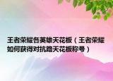 王者荣耀各英雄天花板（王者荣耀如何获得对抗路天花板称号）
