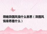 领略异国风情什么意思（异国风情意思是什么）