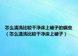 怎么清洗比较干净床上被子的螨虫（怎么清洗比较干净床上被子）