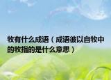 牧有什么成语（成语彼以自牧中的牧指的是什么意思）