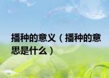 播种的意义（播种的意思是什么）