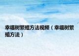幸福树繁殖方法视频（幸福树繁殖方法）