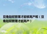 豆角如何管理才能够高产呢（豆角如何管理才能高产）