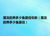 属龙的养多少鱼最佳年龄（属龙的养多少鱼最佳）