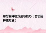 勿忘我种植方法与技巧（勿忘我种植方法）