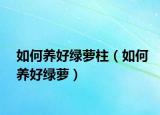 如何养好绿萝柱（如何养好绿萝）