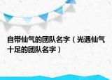 自带仙气的团队名字（光遇仙气十足的团队名字）