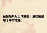 金桔是几月份成熟的（金钱桔是哪个季节成熟）