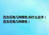 百合花有几种颜色,叫什么名字（百合花有几种颜色）