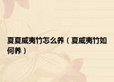 夏夏威夷竹怎么养（夏威夷竹如何养）