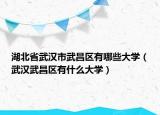 湖北省武汉市武昌区有哪些大学（武汉武昌区有什么大学）