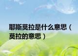 耶斯莫拉是什么意思（莫拉的意思）