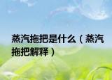 蒸汽拖把是什么（蒸汽拖把解释）