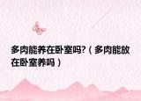 多肉能养在卧室吗?（多肉能放在卧室养吗）