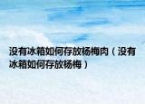 没有冰箱如何存放杨梅肉（没有冰箱如何存放杨梅）