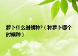 萝卜什么时候种?（种萝卜哪个时候种）