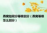 燕窝如何分等级划分（燕窝等级怎么划分）
