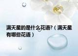 满天星的是什么花语?（满天星有哪些花语）