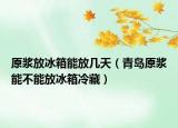 原浆放冰箱能放几天（青岛原浆能不能放冰箱冷藏）