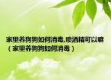 家里养狗狗如何消毒,喷酒精可以嘛（家里养狗狗如何消毒）