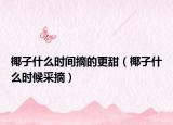 椰子什么时间摘的更甜（椰子什么时候采摘）
