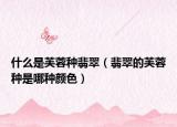 什么是芙蓉种翡翠（翡翠的芙蓉种是哪种颜色）