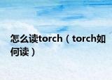 怎么读torch（torch如何读）